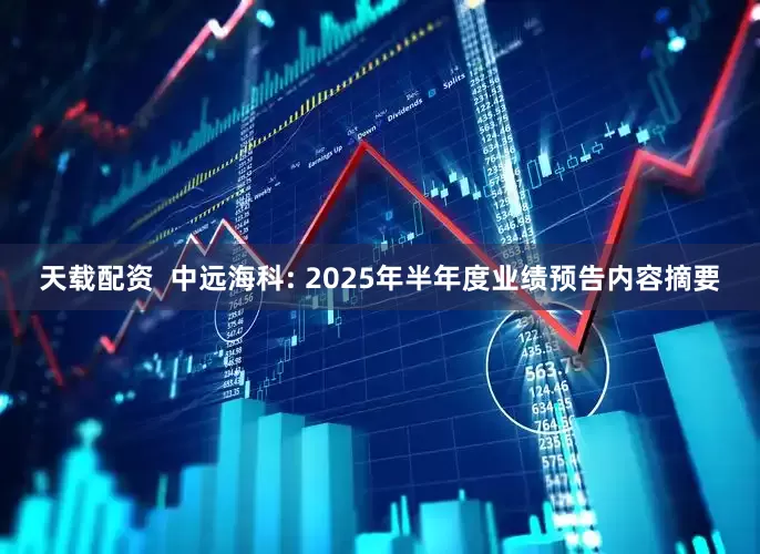 天载配资  中远海科: 2025年半年度业绩预告内容摘要