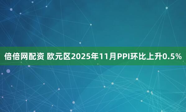 倍倍网配资 欧元区2025年11月PPI环比上升0.5%
